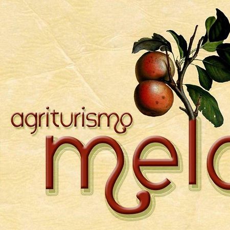 Valfabbrica Agriturismo Il Melo מראה חיצוני תמונה