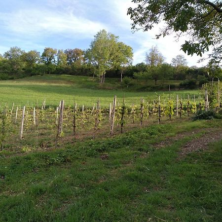 Valfabbrica Agriturismo Il Melo מראה חיצוני תמונה