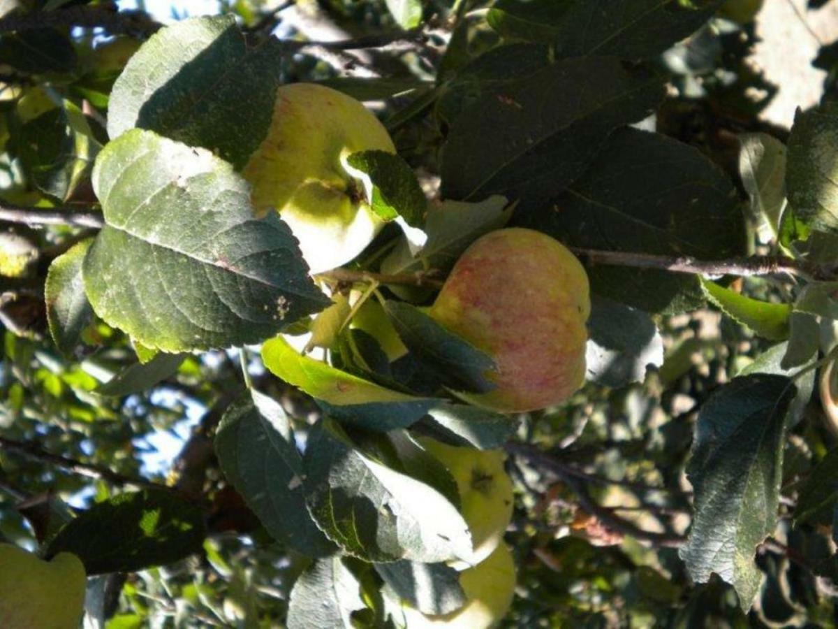 Valfabbrica Agriturismo Il Melo מראה חיצוני תמונה