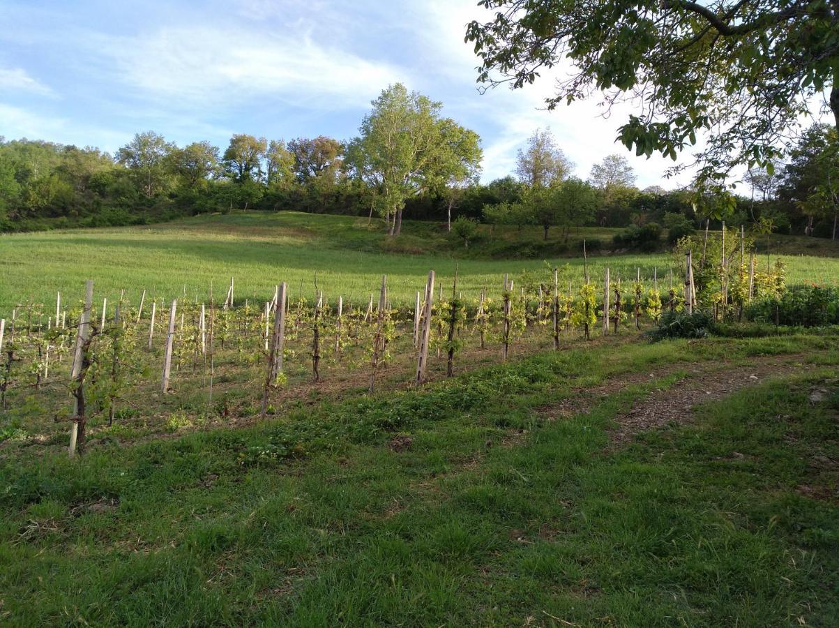 Valfabbrica Agriturismo Il Melo מראה חיצוני תמונה